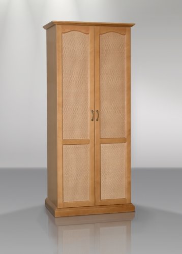 Шкаф платяной двухстворчатый, особенности и характеристики изделий