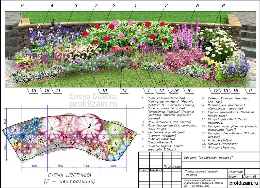 Ландшафтный дизайн садового участка схема с названиями растений
