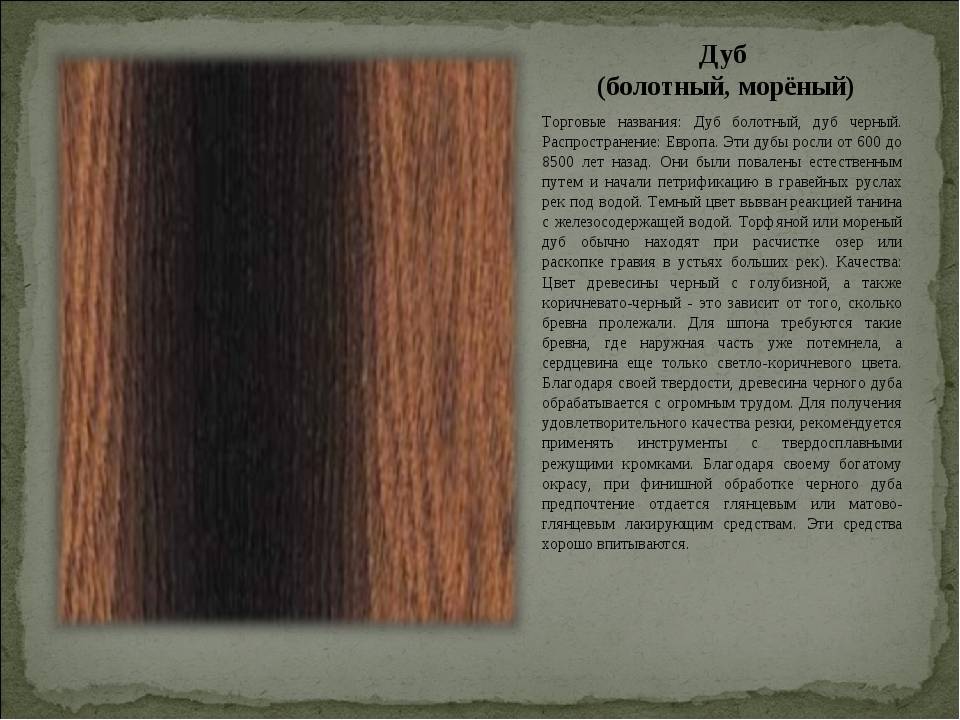 Интересные факты о дубе
