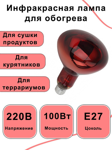 Обогрев курятника зимой инфракрасными (ик) лампами: как выбрать и разместить?