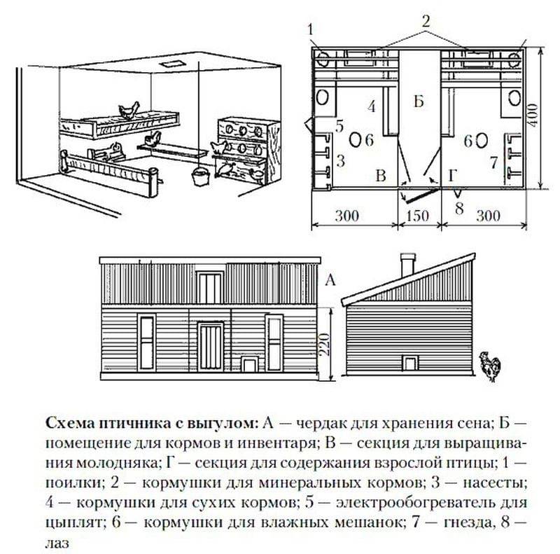 Секреты строительства курятника