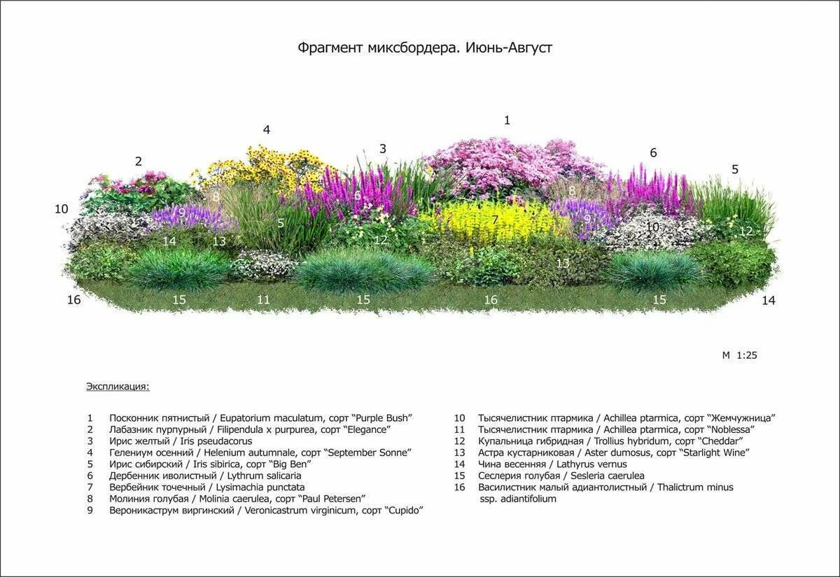 Миксбордеры клумбы рабатки