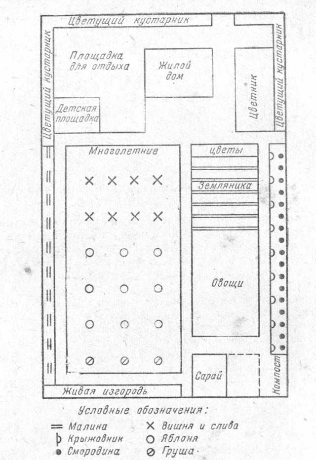 План огорода с теплицей и грядками чертеж