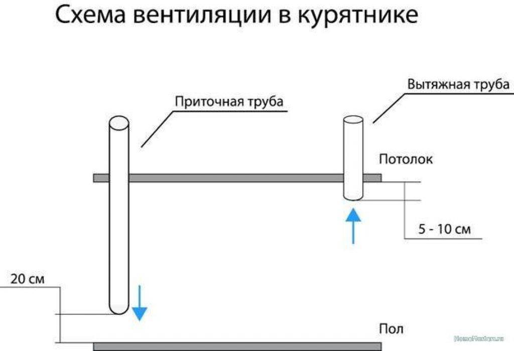 Вентиляция в курятнике: как сделать правильно вытяжку (схема)