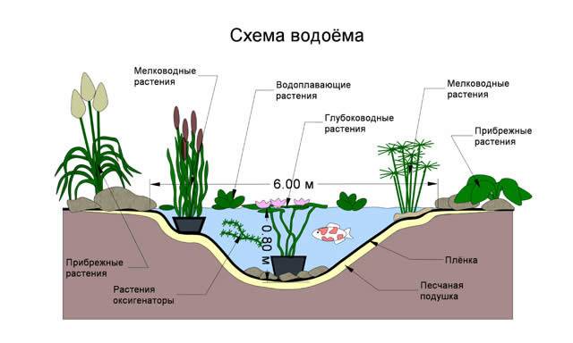 Декоративный водоем план