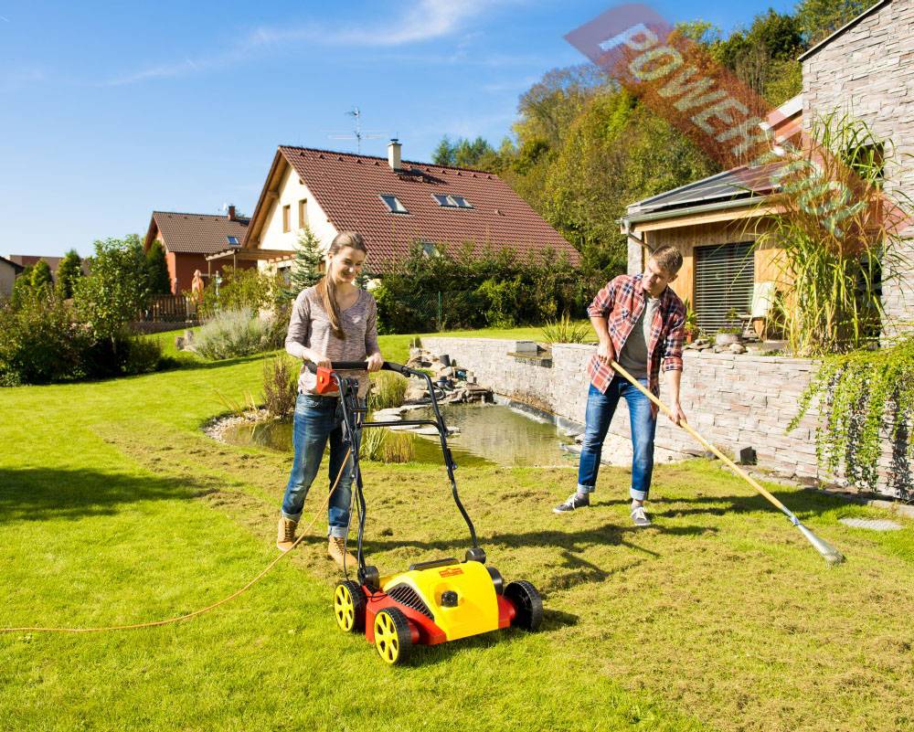 Скарификатор: что это такое и для каких целей применяется