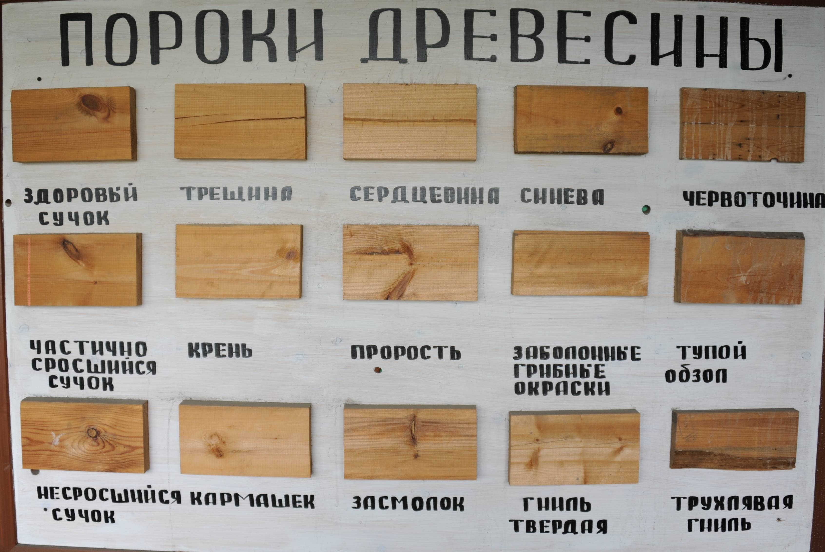 Вагонка: сосна, ель, фото и видео инструкция по отделке своими руками