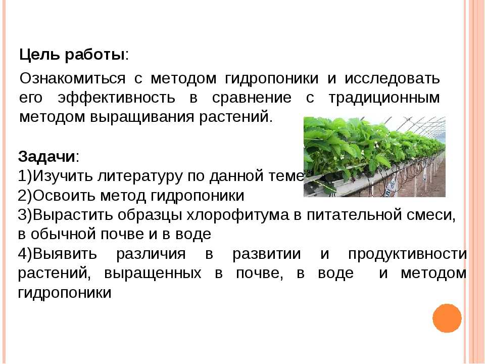 Домашняя гидропоника для всех - современные технологии в нашем доме