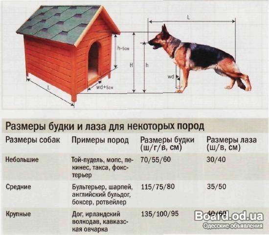 Схема вольера для собак с размерами