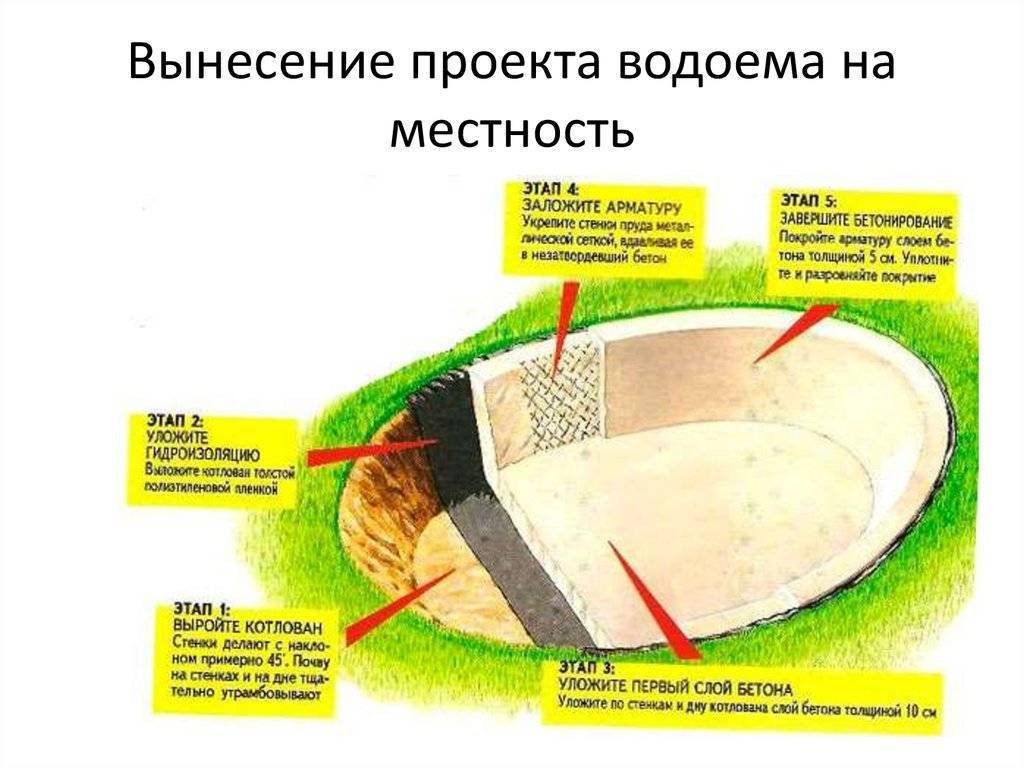 Строительство пруда своими руками на дачном или приусадебном участке