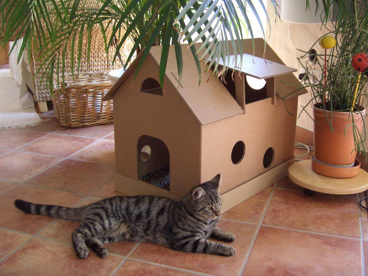 Кошкин дом домик котят