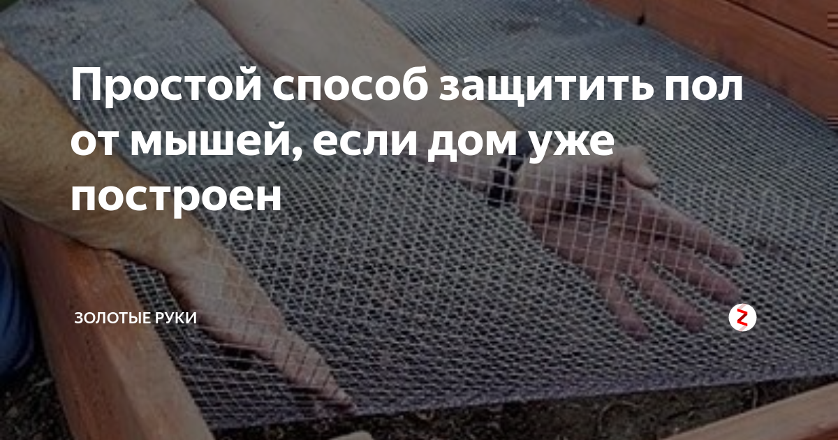 Как защитить каркасный дом от мышей и насекомых