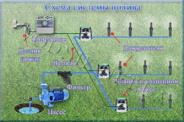 Виды систем полива участка