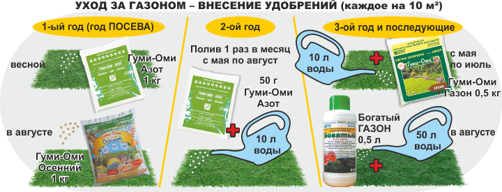 Как ухаживать за газоном осенью, чтобы весной не пришлось его сеять заново