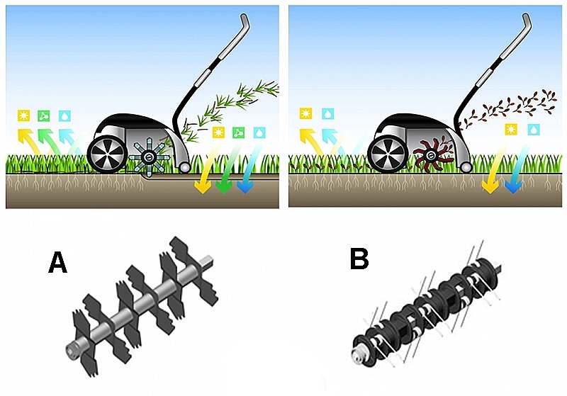 Выбираем технику для ухода за газоном и садом: аэратор и скарификатор