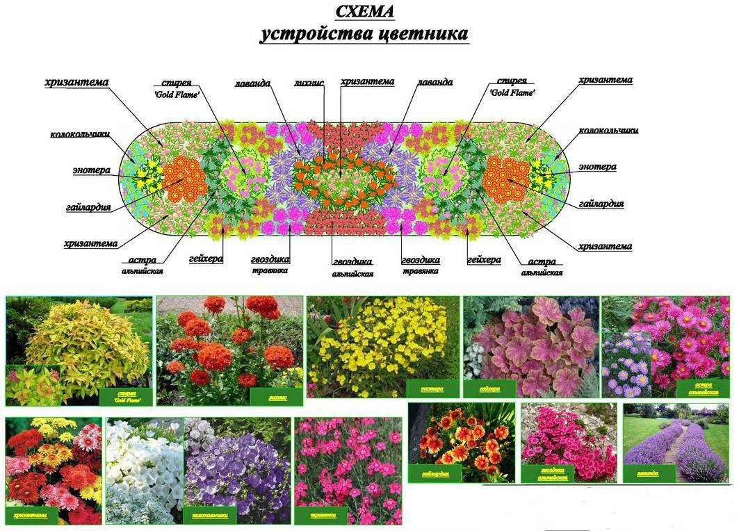 Как сделать на даче клумбу своими руками: схемы и формы