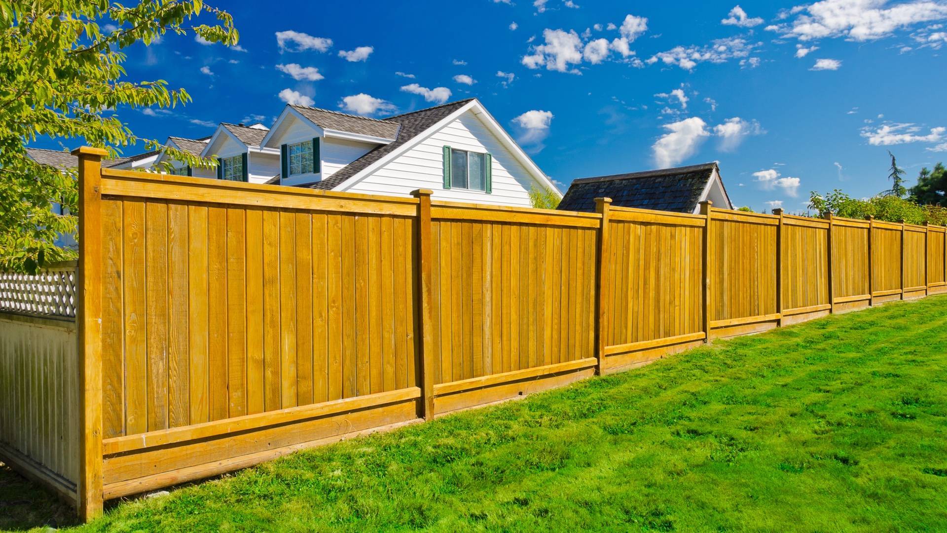 Заборы недорого фото. Деревянный забор. Красивый забор. Деревянные заборы для частного дома. Сплошной деревянный забор.