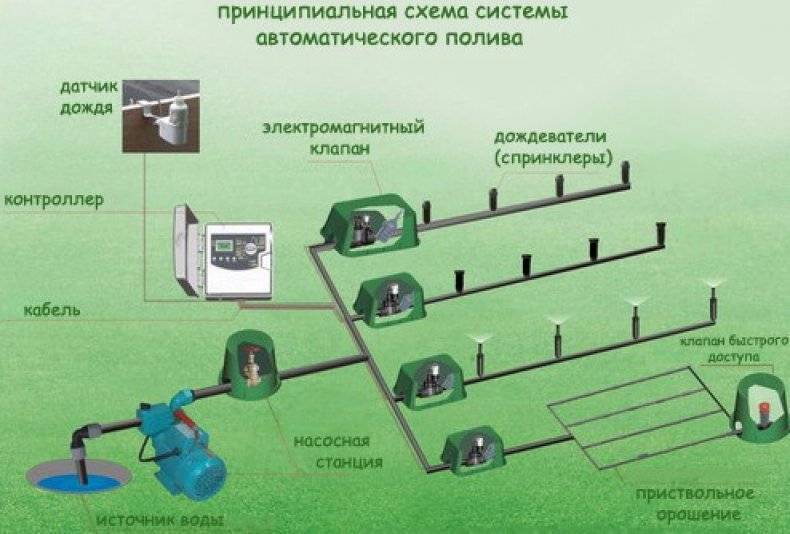 ???? автополив на даче: советы от экспертов