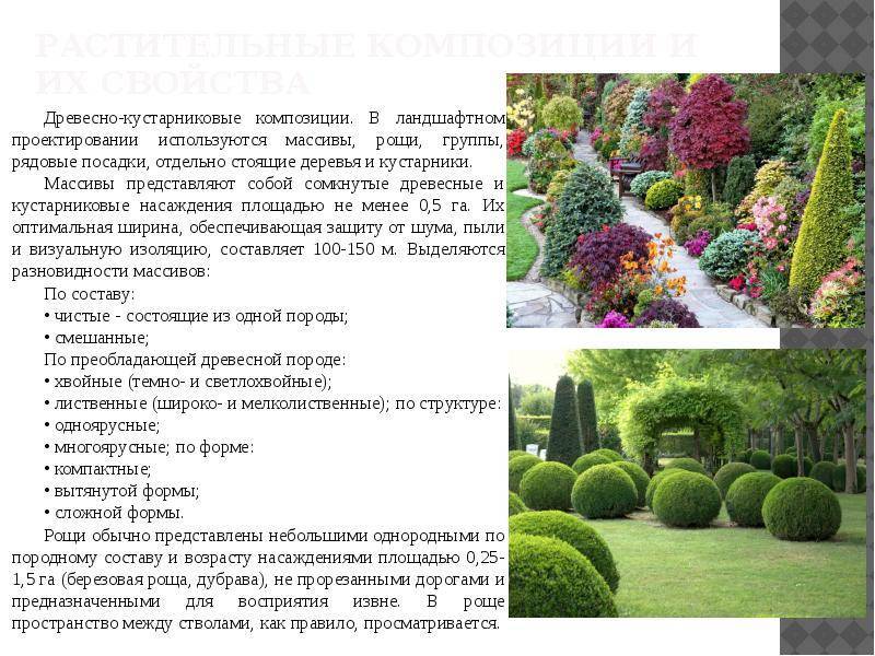 Виды ландшафтного освещения и осветительных приборов, что можно подсветить на приусадебной территории - 18 фото
