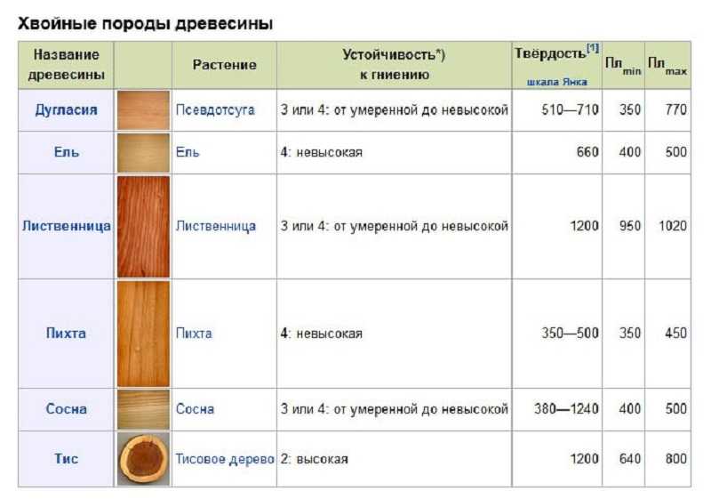 Особенности древесины пихты