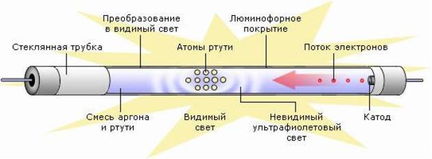 Люминесцентные лампы, какие выбрать?