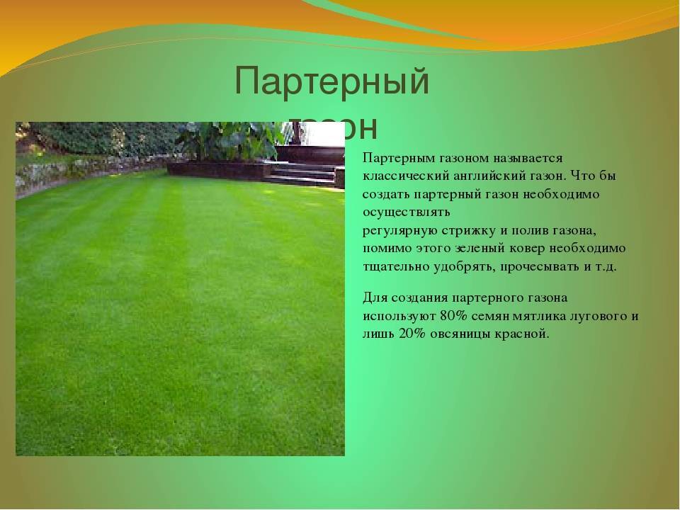 Травосмеси для газонов