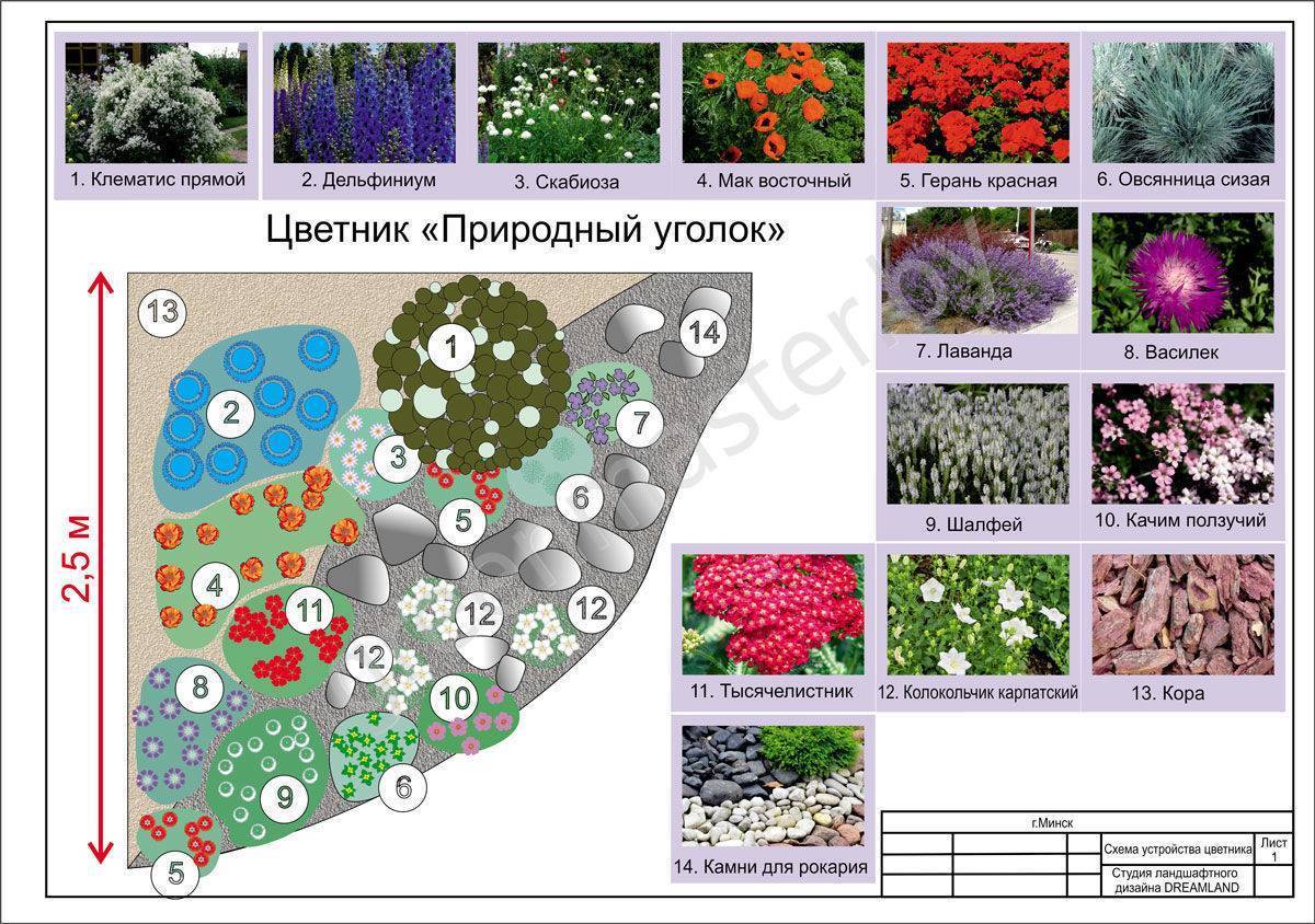 Как посадить цветы на клумбе чтобы цвели все лето схемы