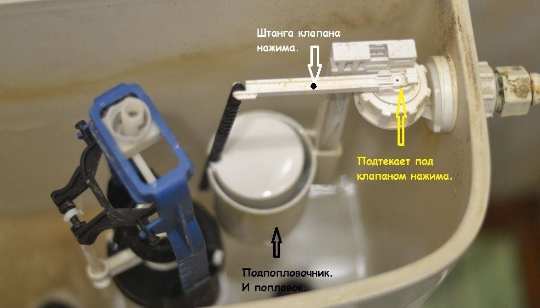 Что делать, если подтекает унитаз. как устранить течь сливного бачка