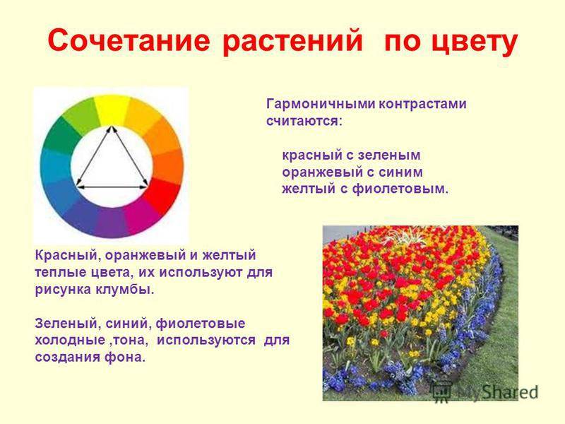 Цвет в ландшафтном дизайне