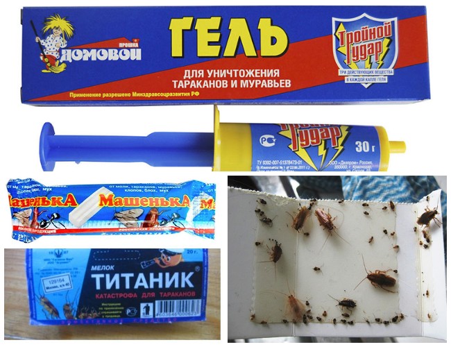 Как избавиться от мокриц в квартире