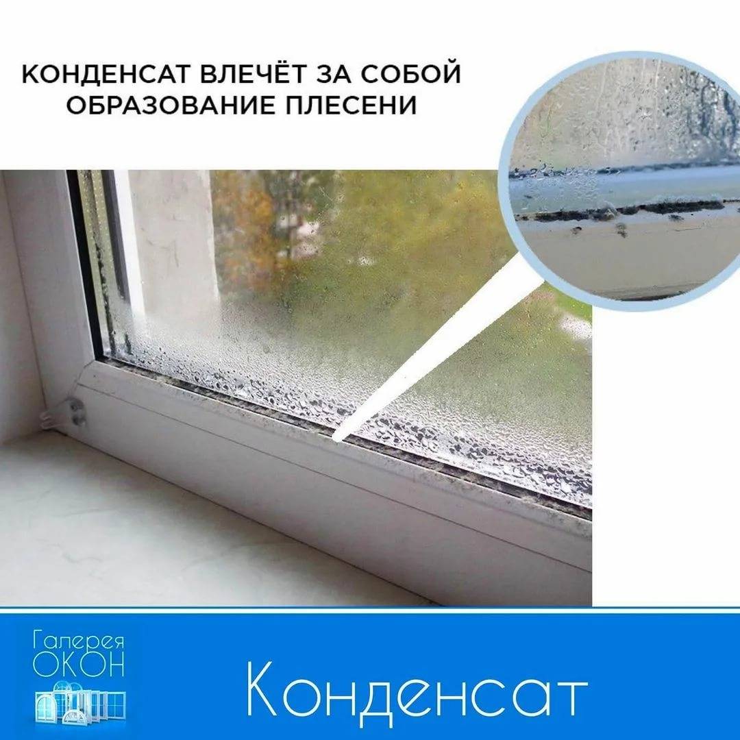 Почему потеют пластиковые окна и что делать (7 способов)