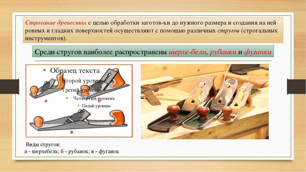 Распил деревьев: этапы и виды распиловки