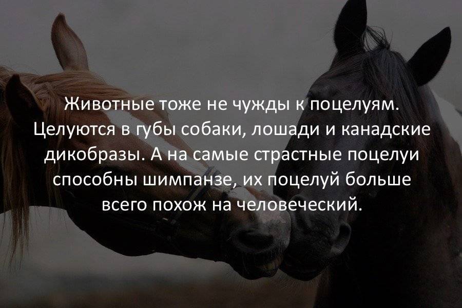 Интересные факты об обычной фанере | главные новости мира