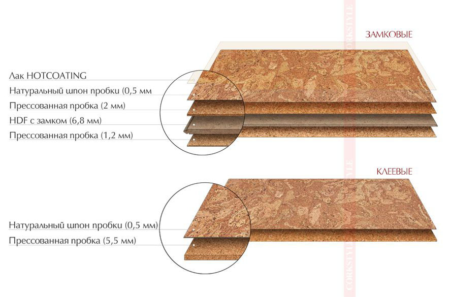Пробковые полы: плюс и минусы пробки на кухне, рекомендации по выбору и отзывы