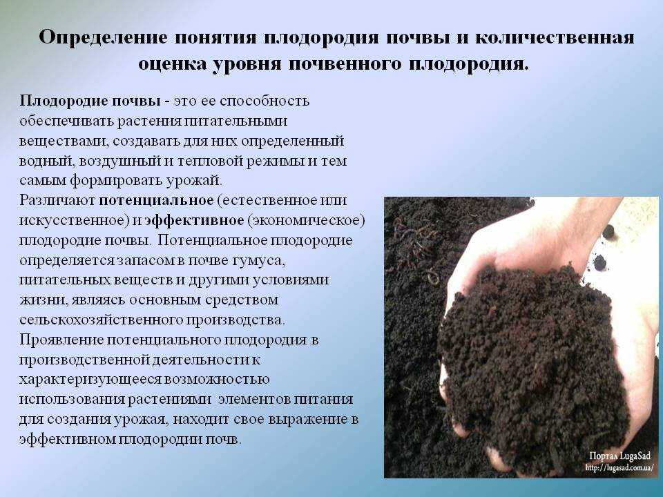 Методы использования почвы. Улучшение плодородия почвы. Понятие плодородие почвы. Состав почвы. Методы повышения плодородия почвы.