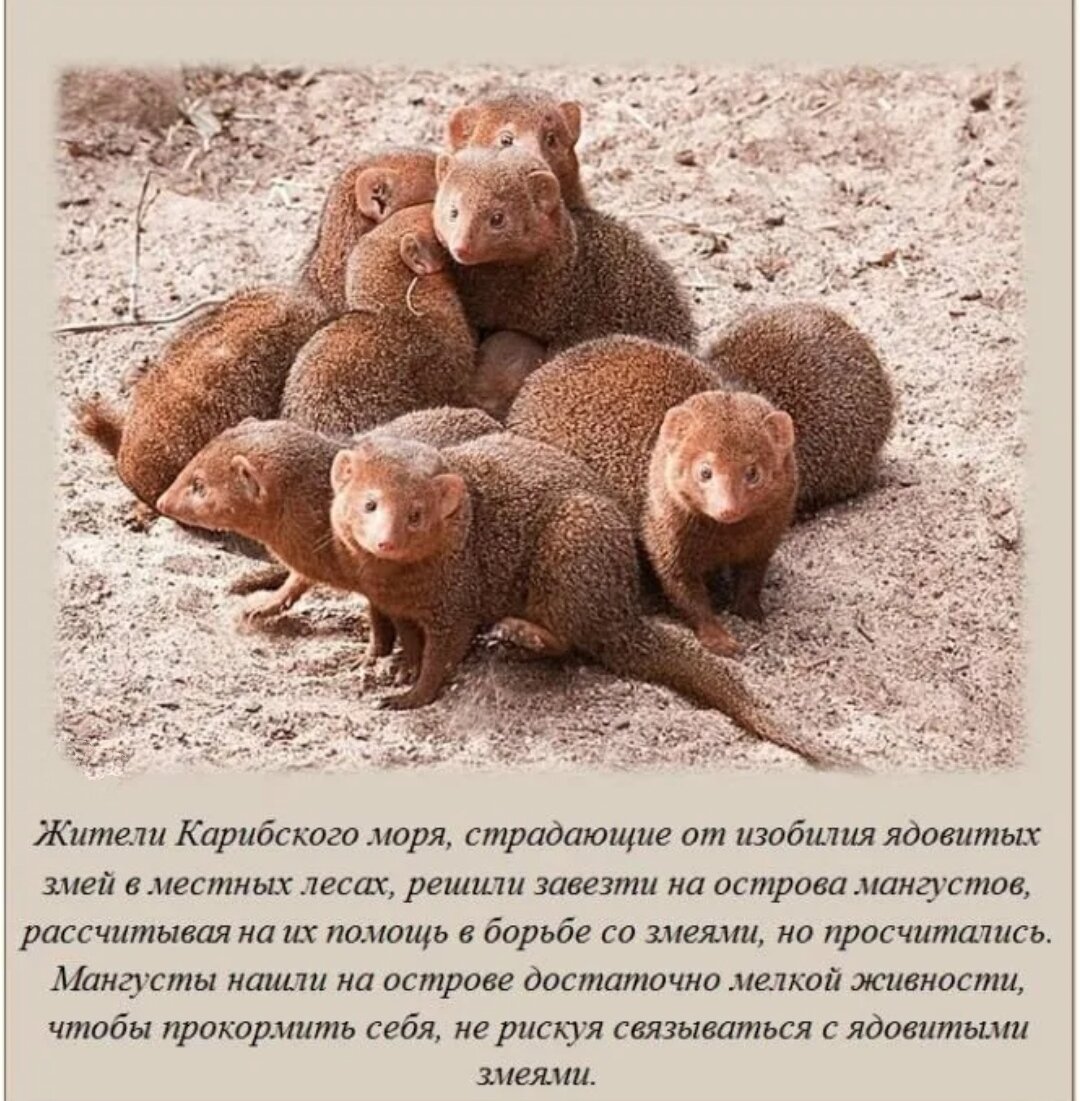 Интересные факты, которые мало кто знает