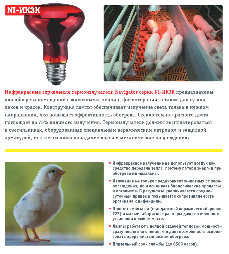 Разновидности инфракрасных ламп для курятников и их установка
