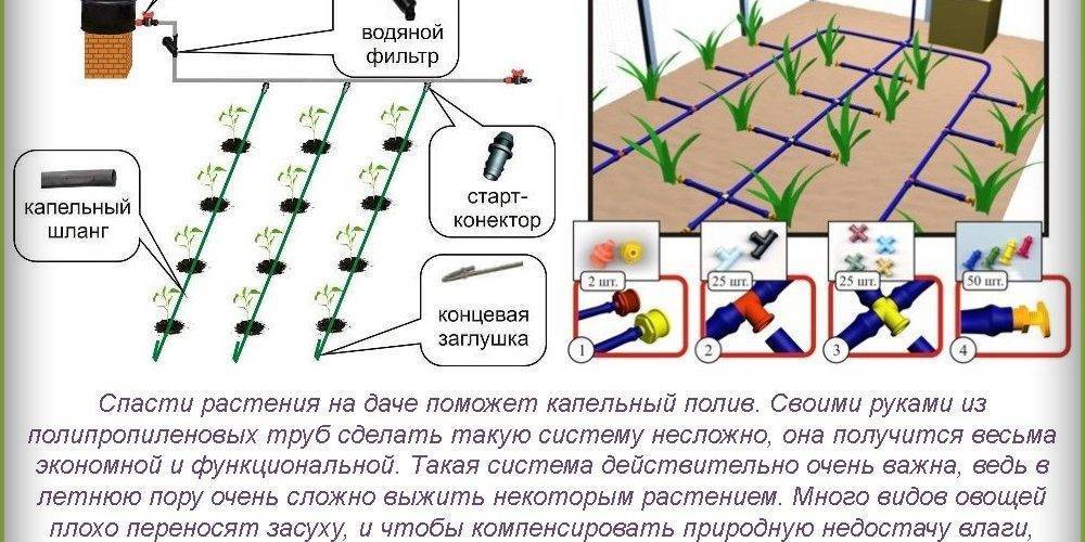 Огурцы полив в теплице сколько. Капельный полив норма полива. Капельный полив схема разводки. Капельный полив Жук схема. Система капельного полива для теплицы.