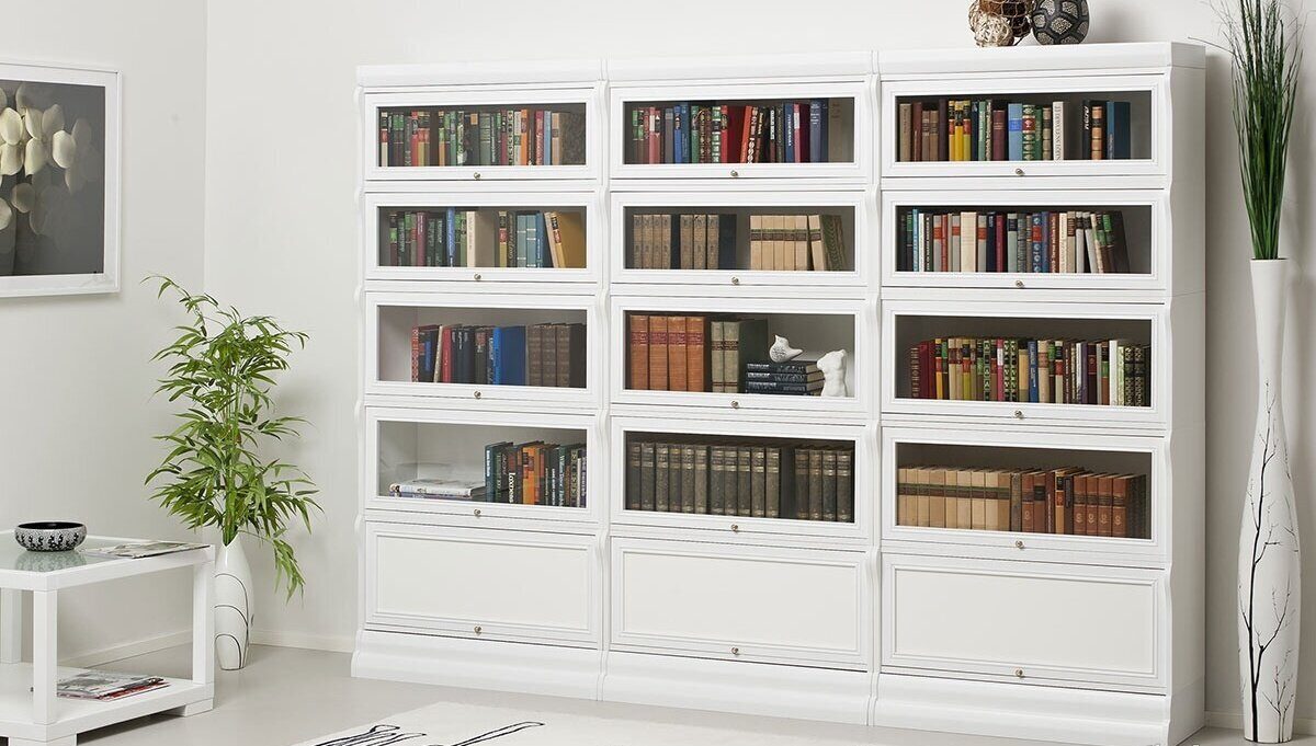 Книжный шкаф - виды и устройство | как выбрать шкаф для книг
