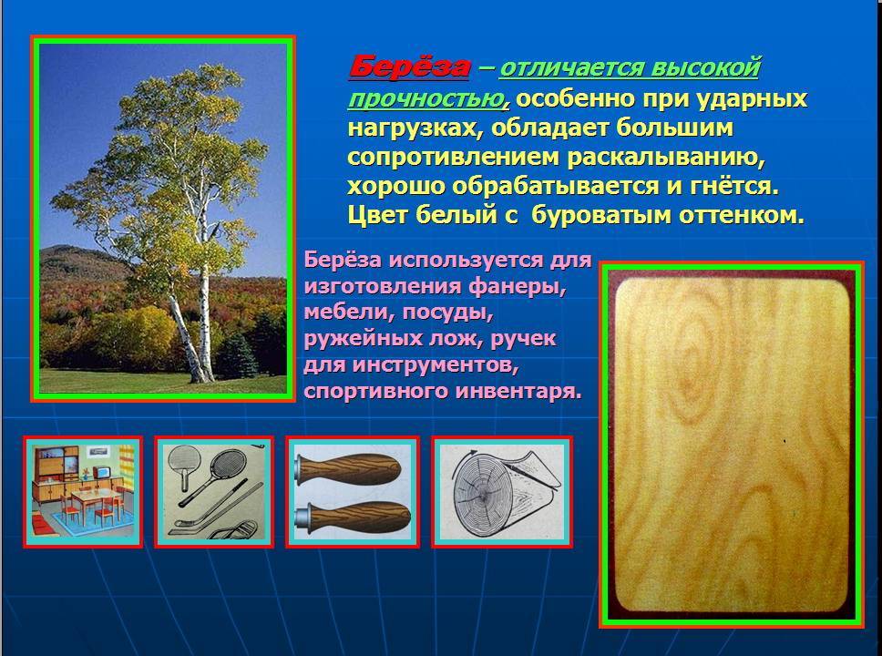 Самые твердые породы дерева – 22 лучших примера в россии и мире