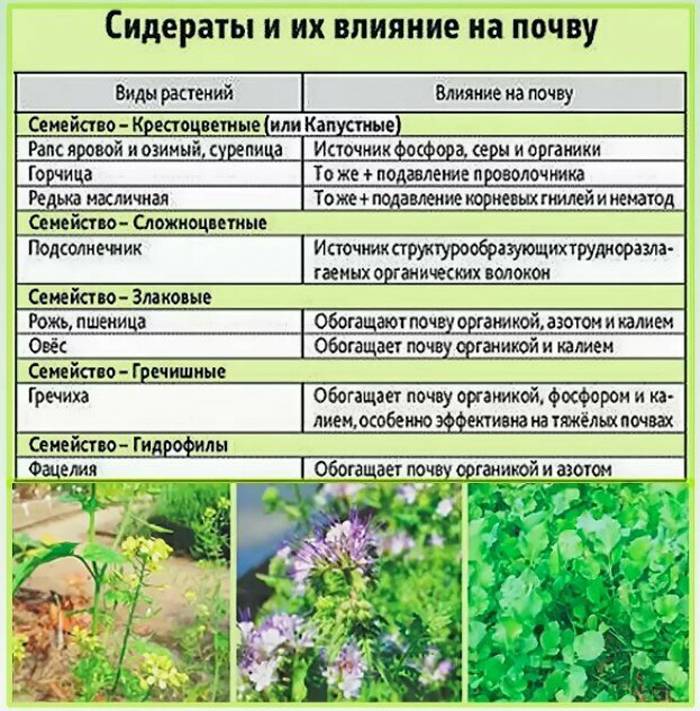 Как избавиться от сорняков?