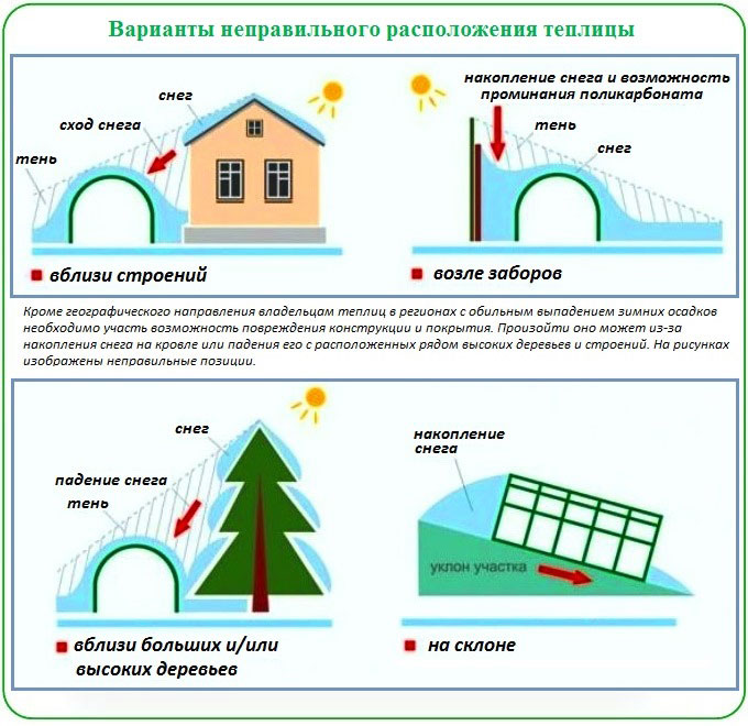 Правила расположения теплицы по сторонам света